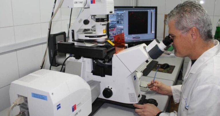Chilenos proponen tratamiento contra alzhéimer con nanopartículas de oro