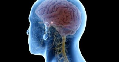 ¿Qué es la neurociencia y qué nos ha aportado?