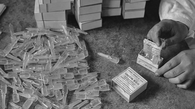 Cajas de vacunas BCG en una foto histórica