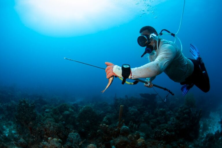 Estudio revela malas prácticas buceo provocan discapacidad