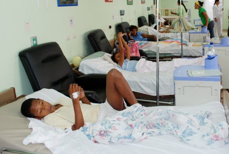 Nueve niños con dengue fueron ingresados en el Robert Reid