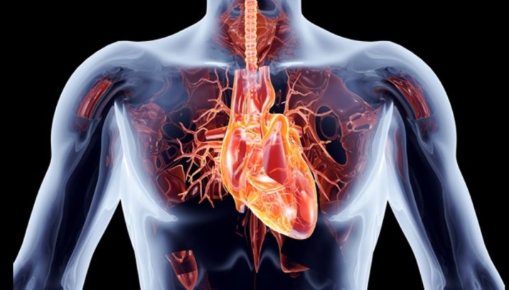 La miocardiopatía dilatada de origen genético tiene peor pronóstico