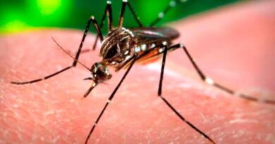 El dengue mata 14 personas en menos de un mes, indica el último boletín epidemiológico