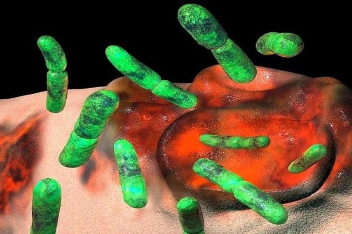ALERTA :Aumentaron los contagios en el Reino Unido de una rara bacteria “comecarne” que se transmite sexualmente