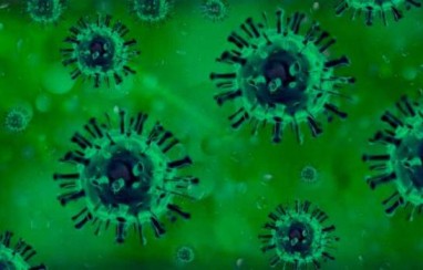 Países encienden la alarma ante nueva variante ómicron del coronavirus