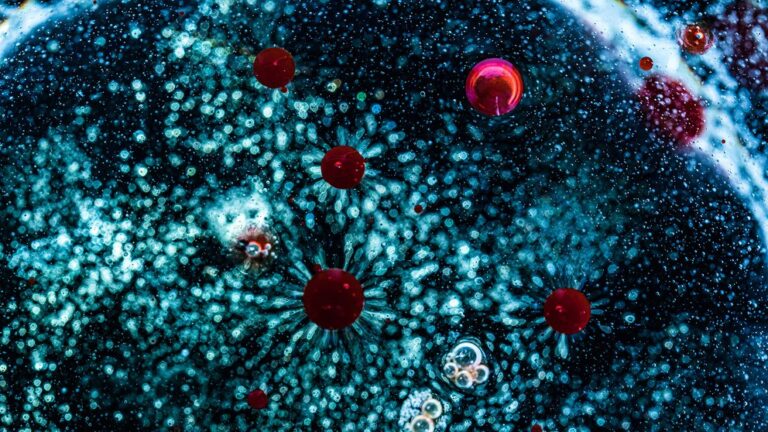 Una nueva vacuna Oxford/AstraZeneca protegería contra la variante Ómicron de coronavirus