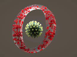 Ómicron: los 4 datos más reveladores hasta hoy de la nueva variante del coronavirus que preocupa al mundo
