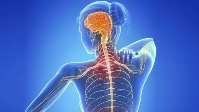 Virus Epstein-Barr y esclerosis múltiple, una posible vía a la prevención