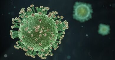 Coronavirus en Brasil: ante el avance de Ómicron, aprobaron los autotests para venta en farmacias