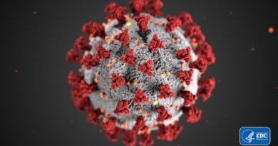 Un mundo diferente después del COVID-19: ¿qué pasará cuando la pandemia mute a endemia?