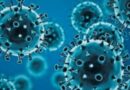 Coronavirus RD: 63 contagios y 301 casos activos 