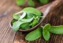 Stevia líquida casera: nutrientes y cómo prepararla