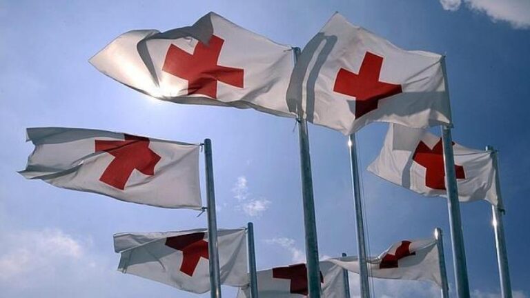 Cruz Roja Internacional, organismo que protege a las víctimas de las guerras