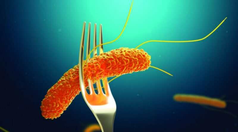 Salmonella entérica y Escherichia coli son las bacterias más detectadas en alimentos procedentes del país
