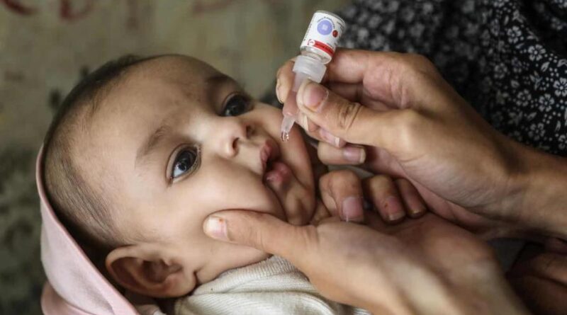 Cobertura de vacunas para polio en el país ronda el 89 %