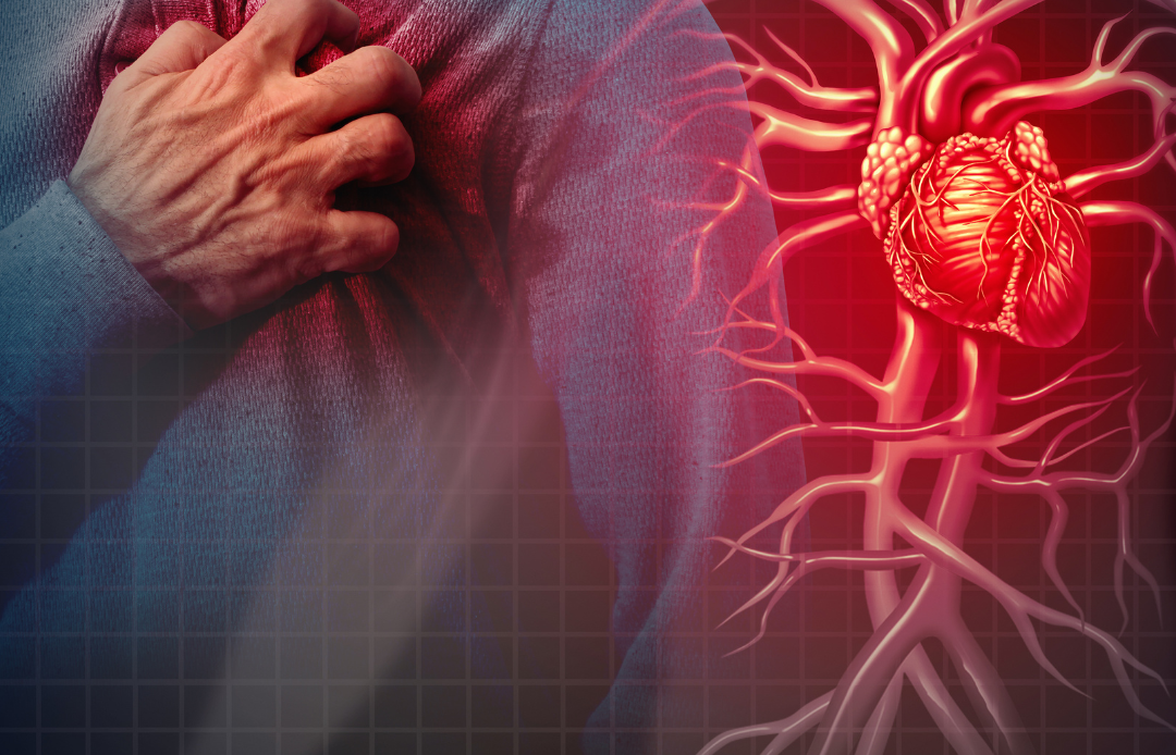 Cómo el amor puede reparar el corazón tras un infarto, según la ciencia
