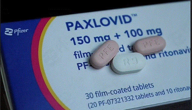 El medicamento Covid de Pfizer, Paxlovid puede causar coágulos de sangre mortales, advierte un estudio