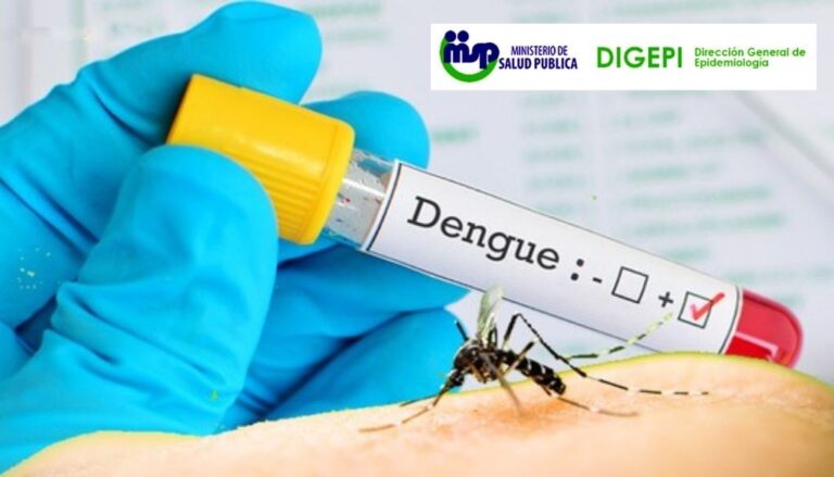 Más de seis mil casos y 37 muertes por dengue en el país