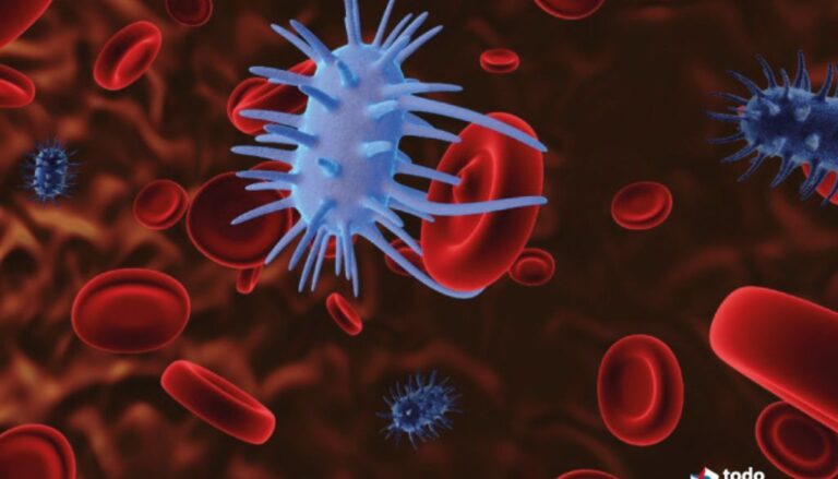 Atribuyen problema resistencia antimicrobiana a falta educación