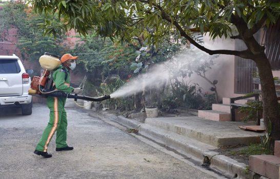 La capital y seis provincias concentran el 63 % de los casos de dengue