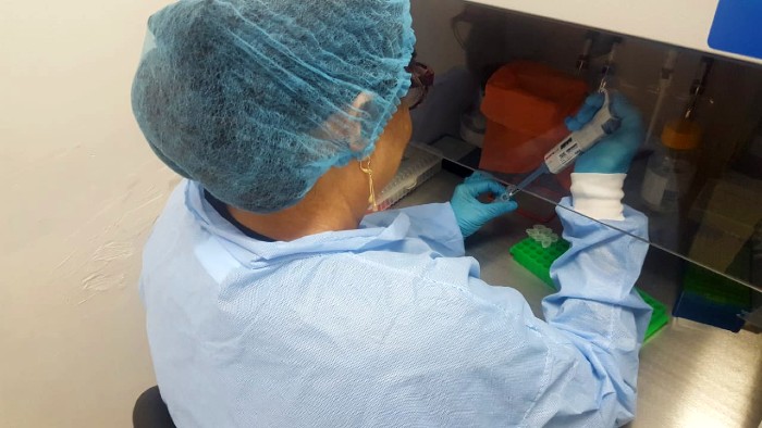 Coronavirus en RD: 271 casos nuevos en 24 horas