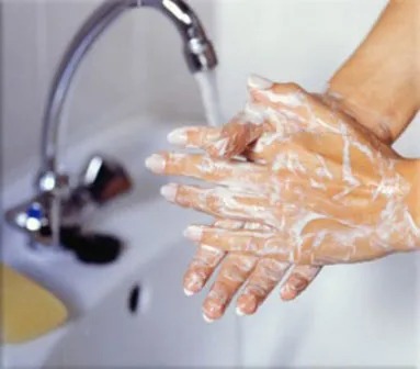 Salud Pública pide intensificar la higiene y mantener cuidados para prevenir cólera