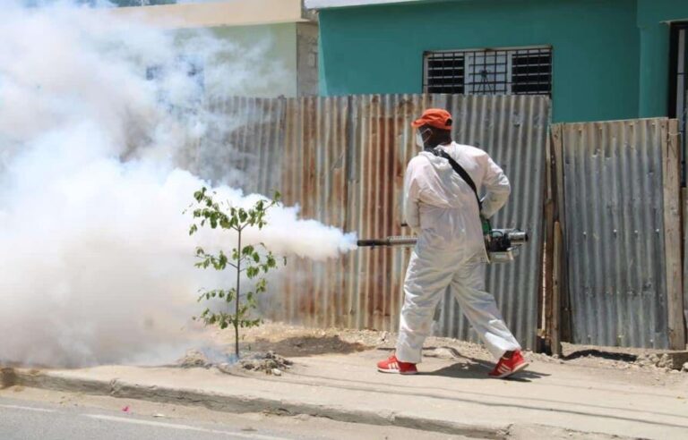 El 2022 finalizó con más de 10 mil casos de dengue y 39 muertes asociadas a la enfermedad