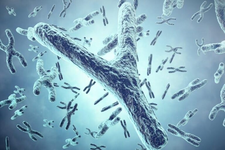 Pérdida de cromosoma Y, una de las razones por las que hombres viven en promedio menos que las mujeres