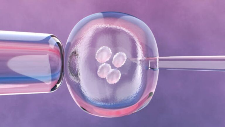El esperma congelado logra mismos resultados in vitro que el semen fresco