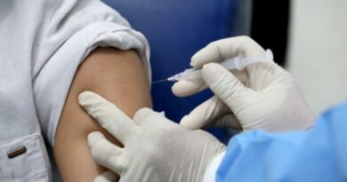 La UE ha reservado dos vacunas por si se declara una pandemia de gripe aviar