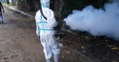 Eliminar criaderos de mosquitos, clave para que los riesgos de chikungunya sean bajos