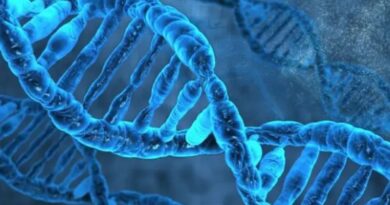 Descubren genes «saltarines» que podrían mejorar enfermedades