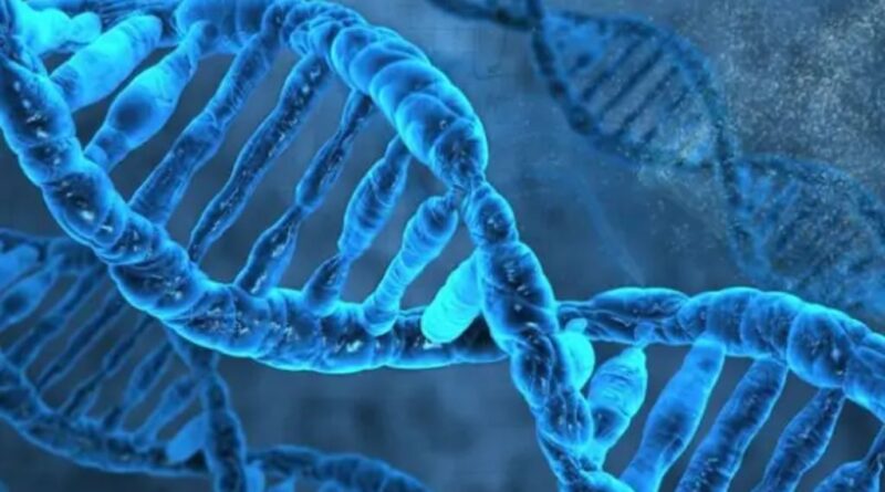 Descubren genes «saltarines» que podrían mejorar enfermedades