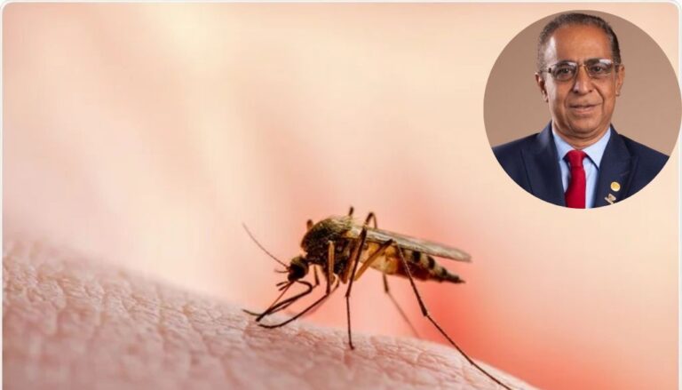 Casos Malaria se duplican según reporte en comparación con año anterior