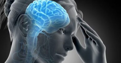Neurocriminología y factores biológicos de la conducta violenta