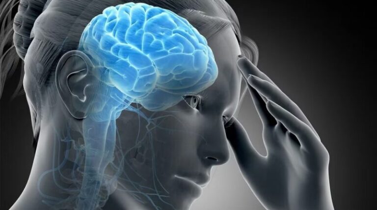 Neurocriminología y factores biológicos de la conducta violenta