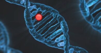 Secuenciación genómica en primates revela claves para identificar mutaciones genéticas en enfermedades humanas