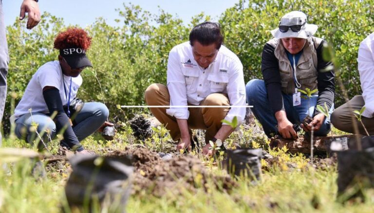 Destacan la importancia del medio ambiente en la salud
