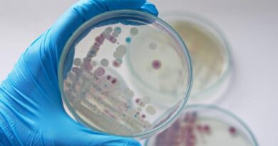 Florida reporta cinco muertes y 26 infectados en lo que va de año por la bacteria "come-carne"
