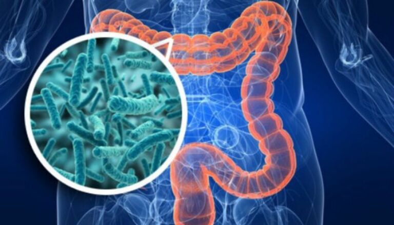 Investigan compuesto de la microbiota que reduce gravedad en enfermedades hepáticas