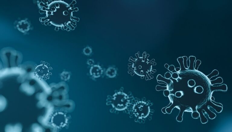 Estudio concluye coronavirus se contagia de humanos a mascotas pero no a la inversa