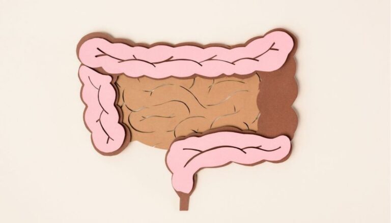 Estudio aborda función de las bacterias intestinales para desarrollar nuevos probióticos