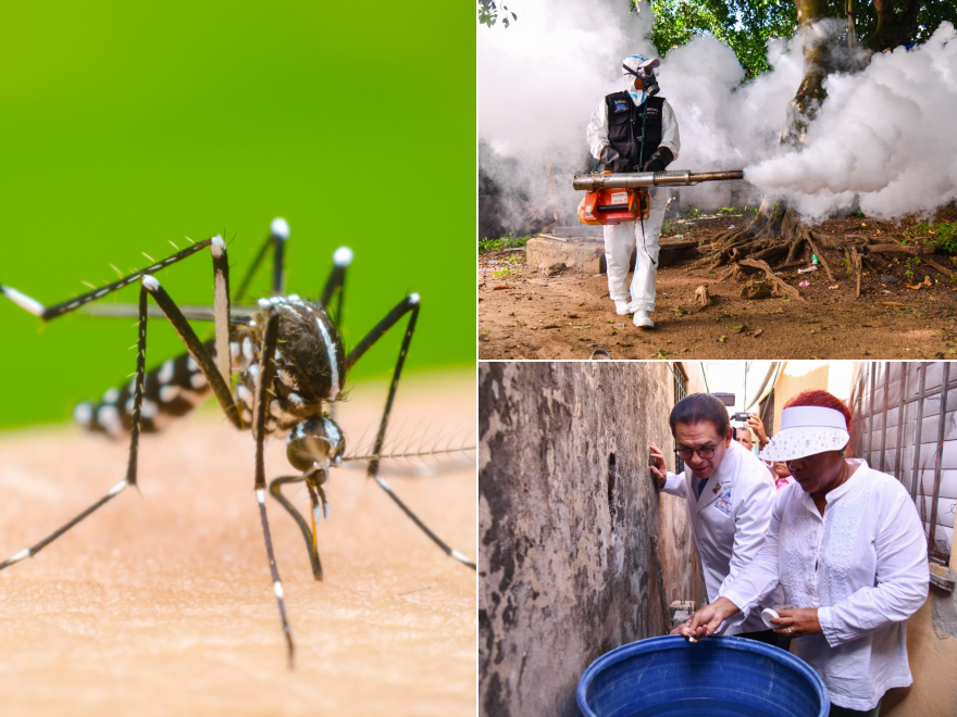 Autoridades se “ponen las pilas” tras aumento de casos de dengue en el país