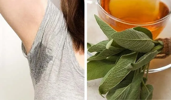 Remedios caseros que te ayudarán a controlar el sudor