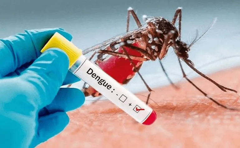 El dengue: enfermedad viral transmitida por mosquitos