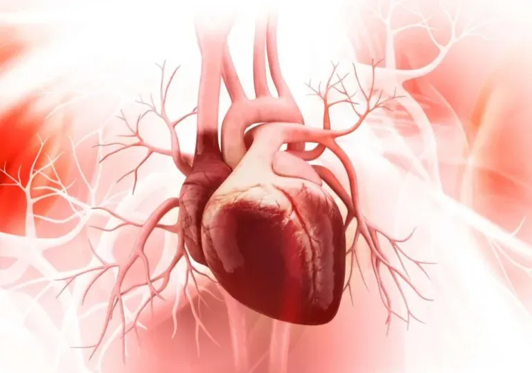 Entre el 50 – 75% de pacientes con falla cardiaca con fracción de eyección preservada fallecen 5 años después de su diagnóstico
