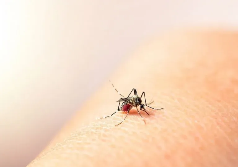 Ministro destaca reducción casos de dengue responde a acciones puntuales del MSP e integración de la comunidad