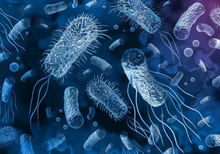 Resistencia a los antimicrobianos reducirá la esperanza de vida en 1,8 años para el 2050
