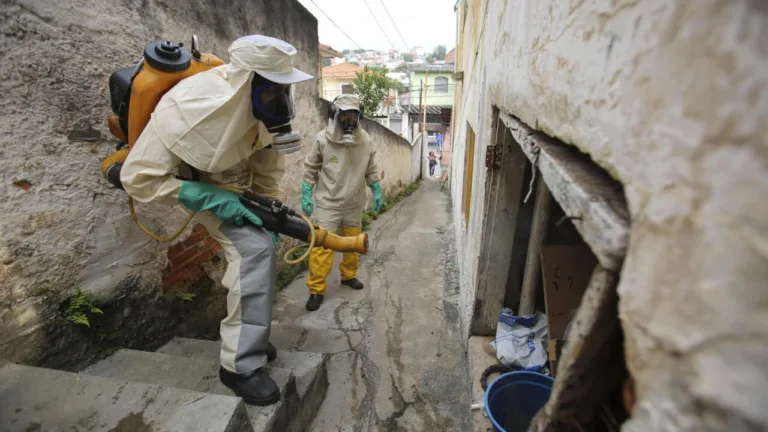 dengue-en-Brasil.jpg