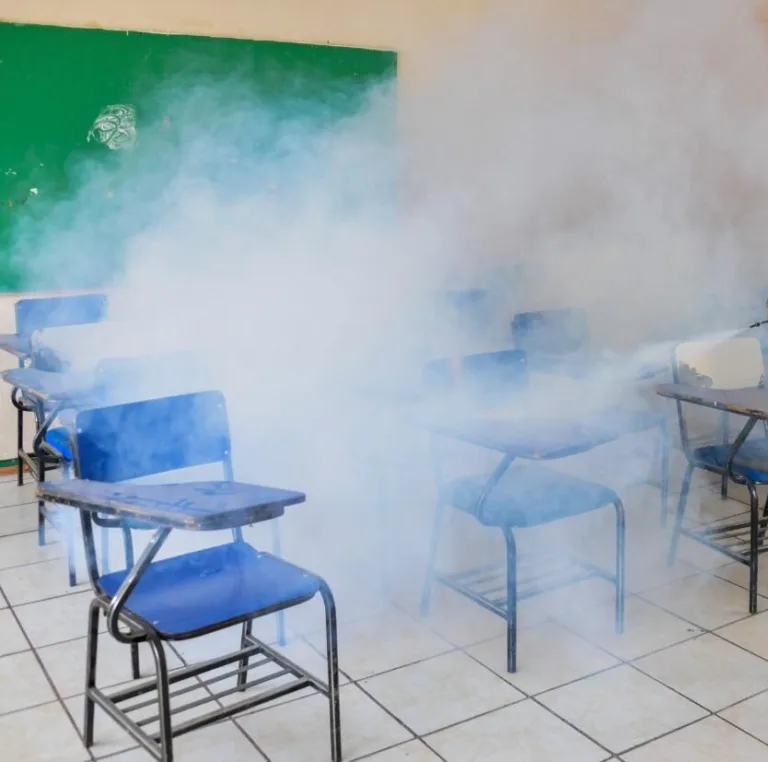 escuela-fumigacion-e1729008904412.jpg